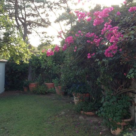 Deliziosa Villa 150 Metri Dal Mare Quartu SantʼElena Buitenkant foto