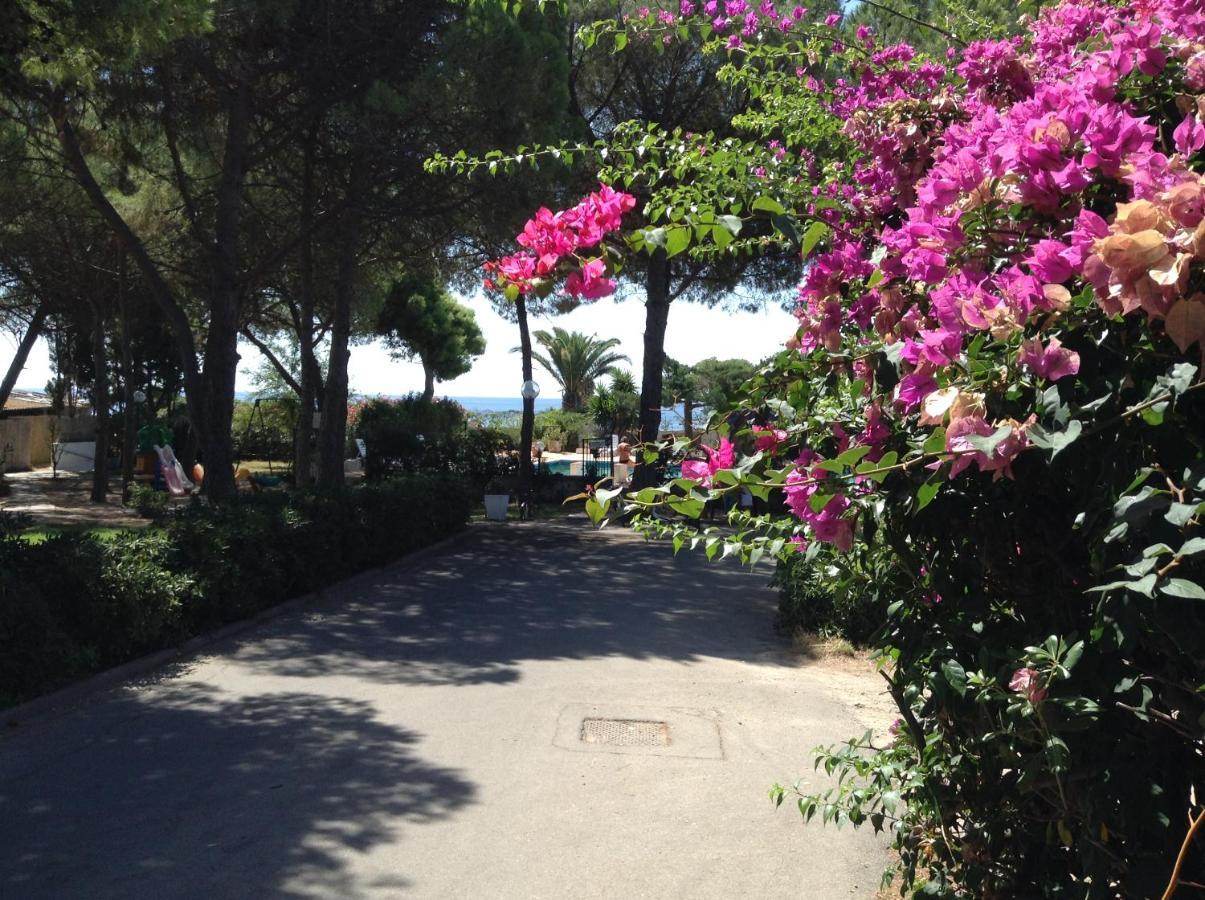 Deliziosa Villa 150 Metri Dal Mare Quartu SantʼElena Buitenkant foto